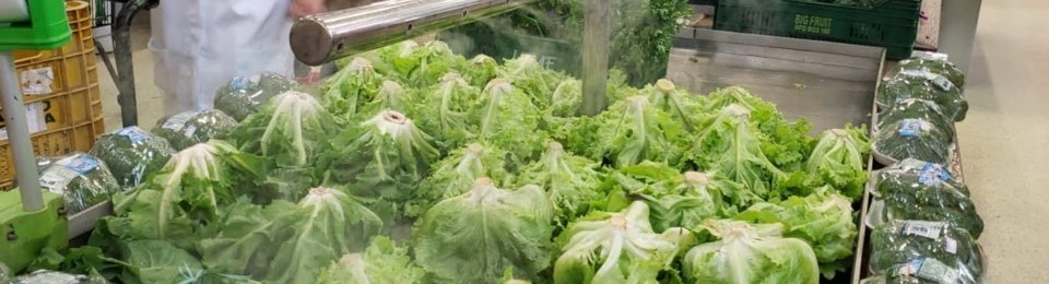 WhatsApp Image 2023-11-23 at 11.15.04