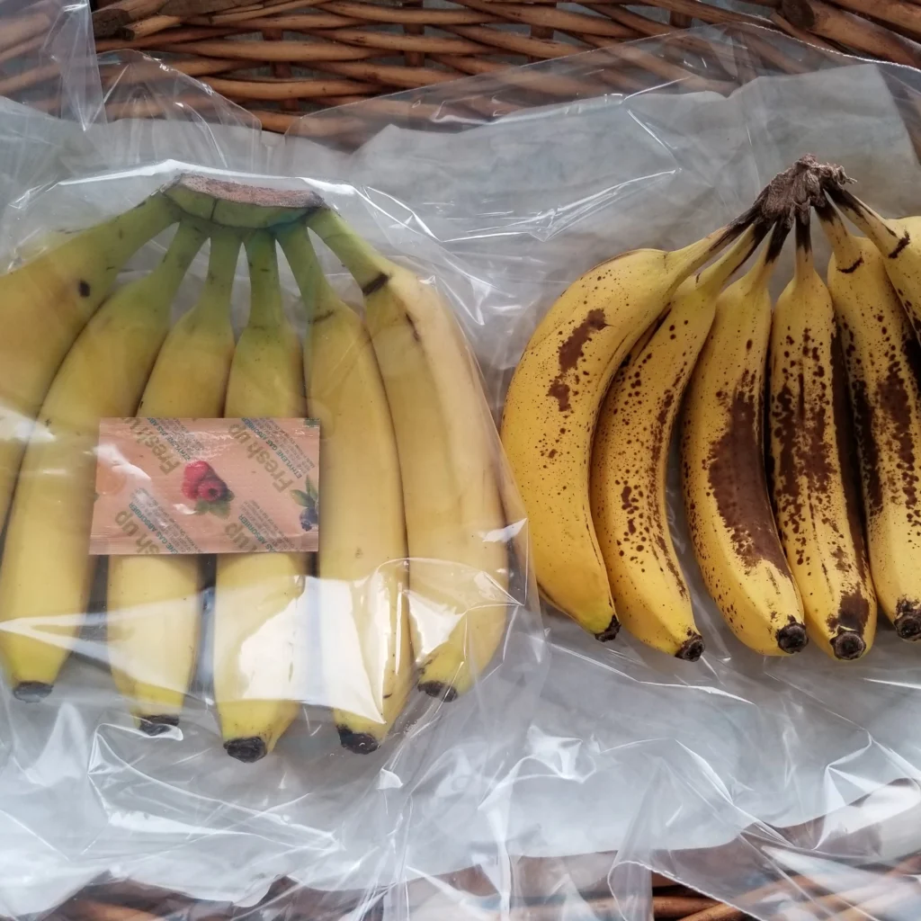 banana passada