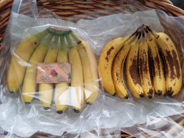 banana passada