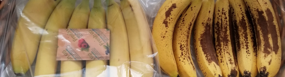 banana passada