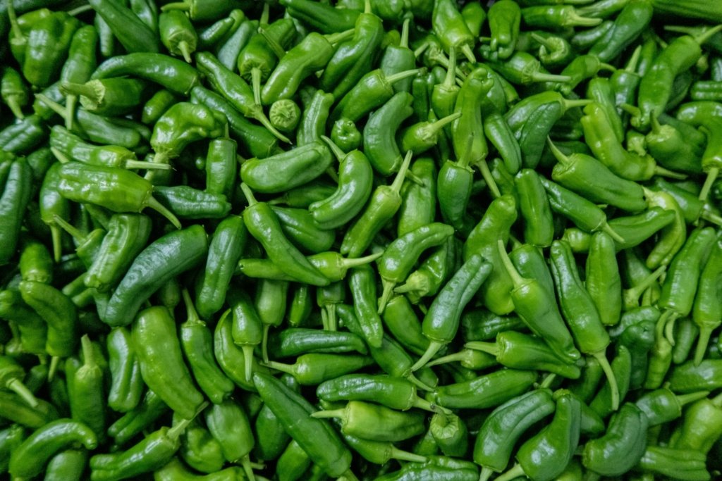 green chili peppers on green leaves
