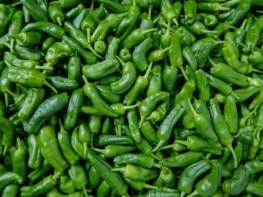green chili peppers on green leaves