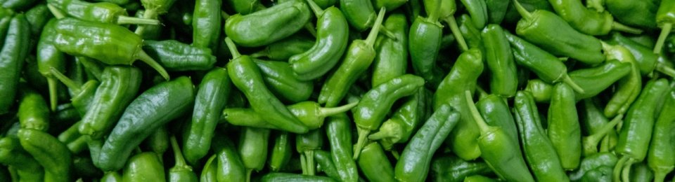 green chili peppers on green leaves