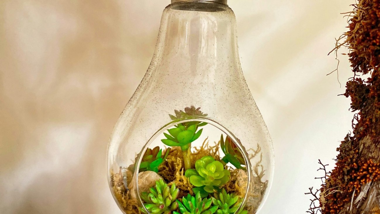 clear glass bottle with green leaves