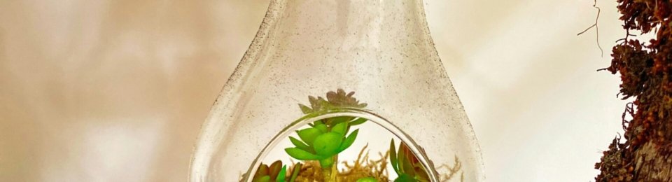 clear glass bottle with green leaves