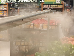 Verduras sendo nebulizadas