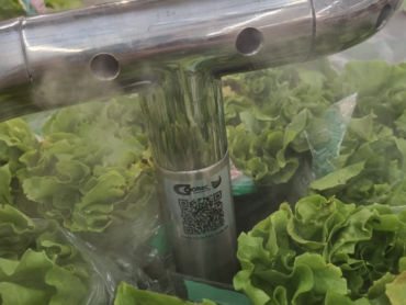 Fumacinha no expositor do hortifruti