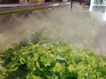 Fumacinha sobre as verduras