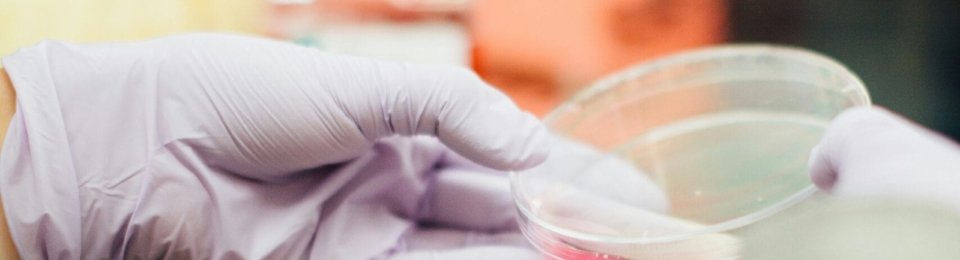 person holding round clear container