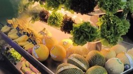 554333870_18059362361431854_8483156552357600209_n